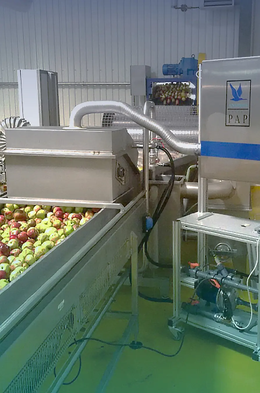 Anseros-PAP-B-in fruit-washing